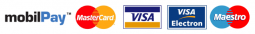 plata-online-MasterCard Visa Visa Electron Maestro